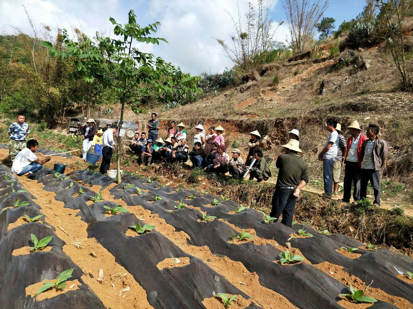 茂梧村烤烟追肥会.jpg